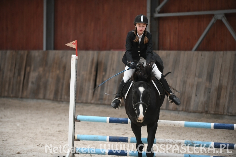 Pracowity dzień amazonek z Nenii