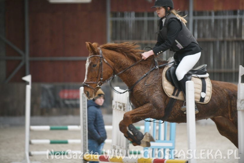 Pracowity dzień amazonek z Nenii