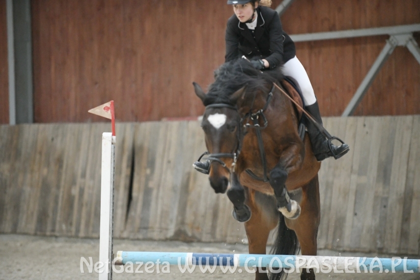 Pracowity dzień amazonek z Nenii