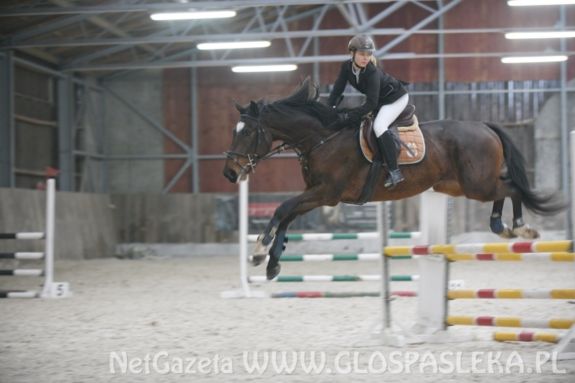 Pracowity dzień amazonek z Nenii