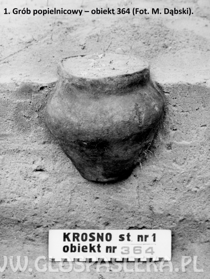 Cmentarzysko w Krośnie