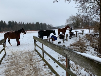 Kulig, ognisko i lepienie bałwana