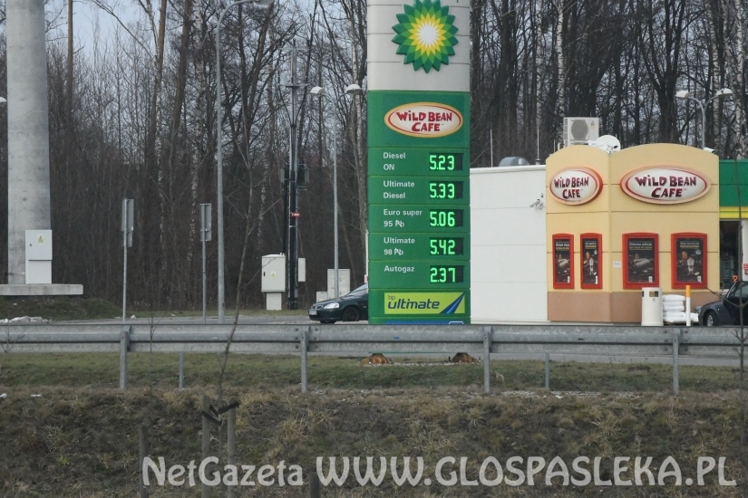 Ceny paliw - drogo