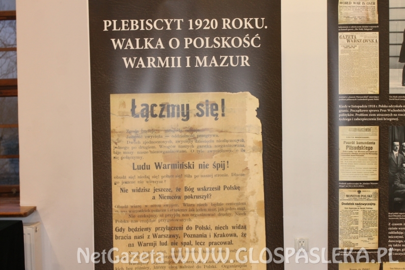 Plebiscyt 1920 roku