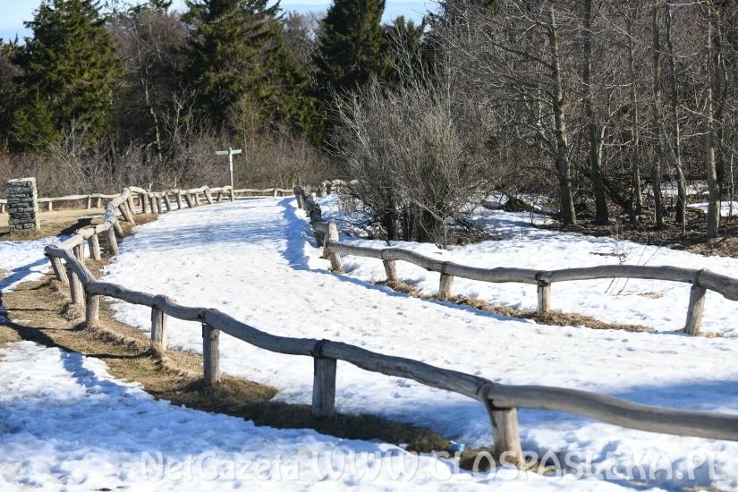 Pozdrowienia z gór Taunus