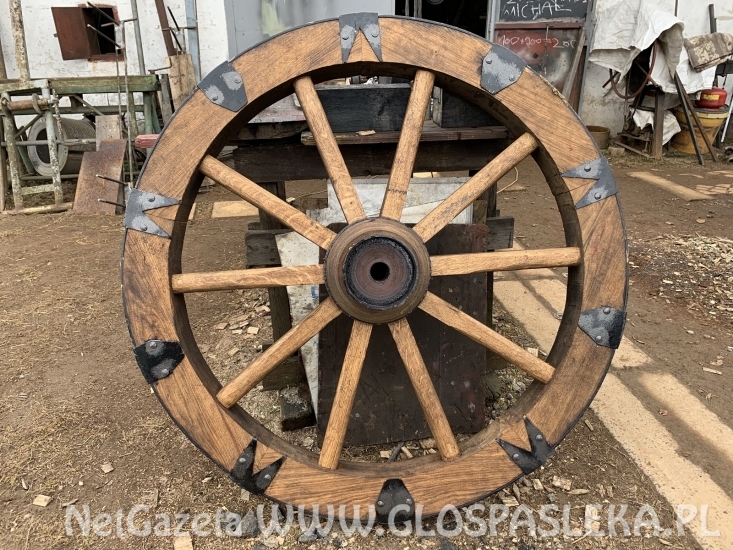 XVII – wieczne armaty w Pasłęku