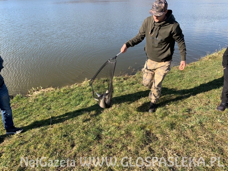 Pierwsze ryby z Zakrzewka II