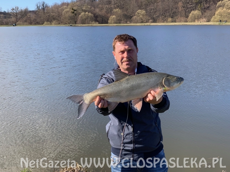 Pierwsze ryby z Zakrzewka II