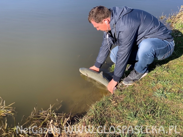 Pierwsze ryby z Zakrzewka II