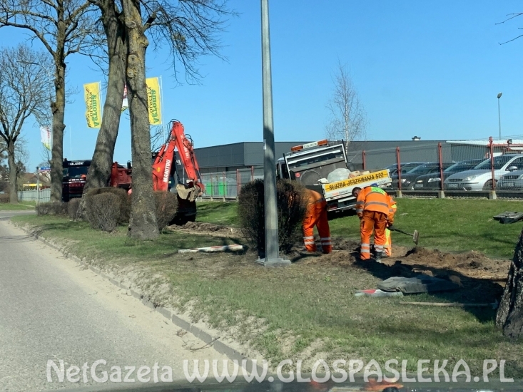 Remontują chodnik na ul. Boh. Westerplatte