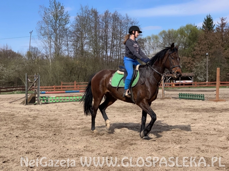 IX Memoriał Henryka Hucza