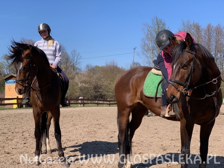 IX Memoriał Henryka Hucza