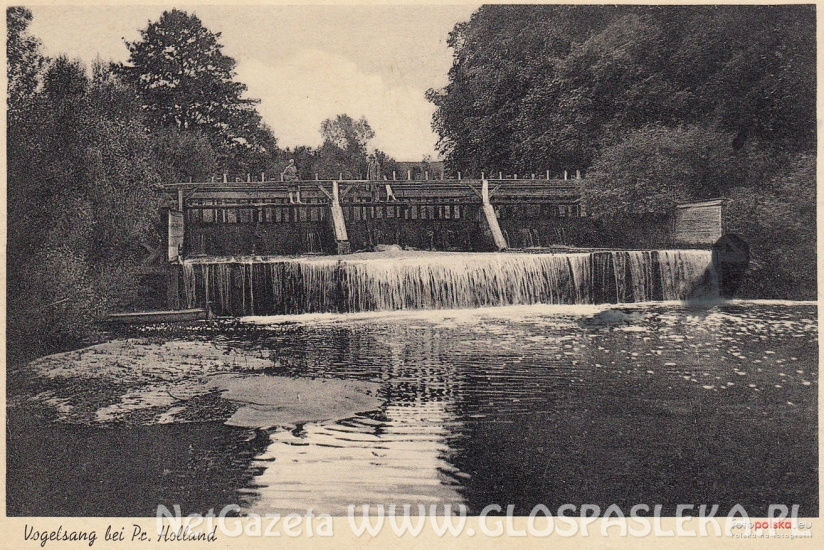 Remont jazu w Kupinie