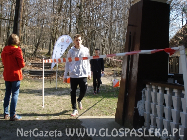 „Brąz” dla dziewcząt z ZSEiT