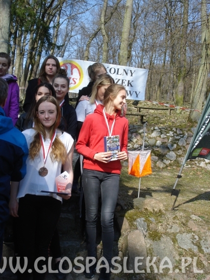 „Brąz” dla dziewcząt z ZSEiT