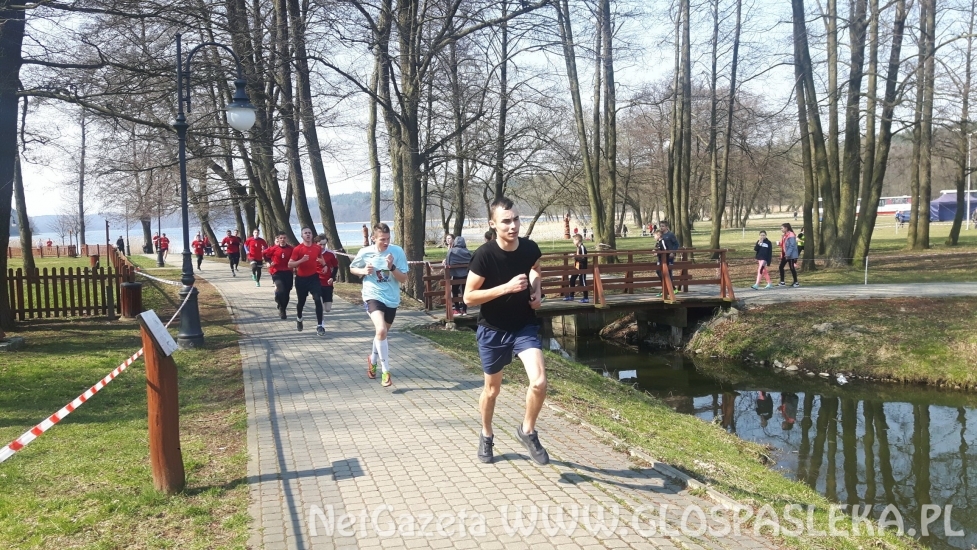 ZSEiT Mistrzem Województwa!