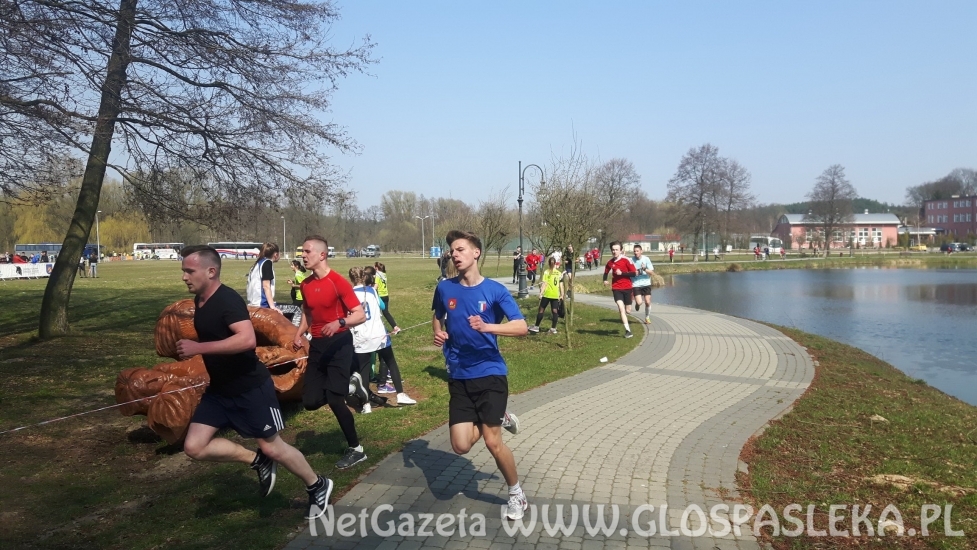 ZSEiT Mistrzem Województwa!