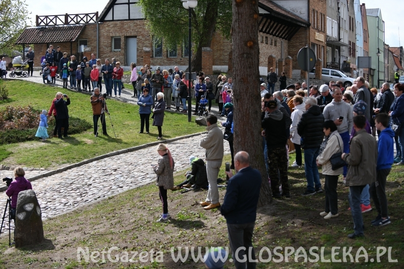 Armaty atrakcją Starego Miasta