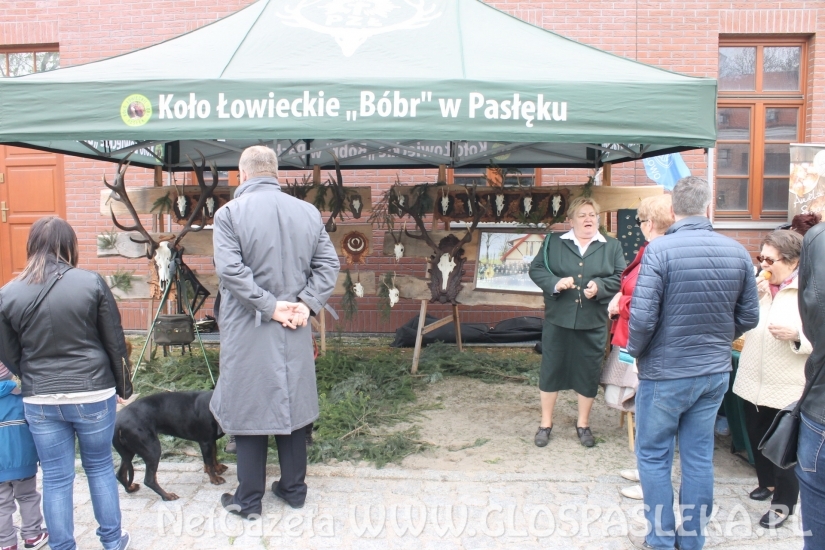 Armaty atrakcją Starego Miasta