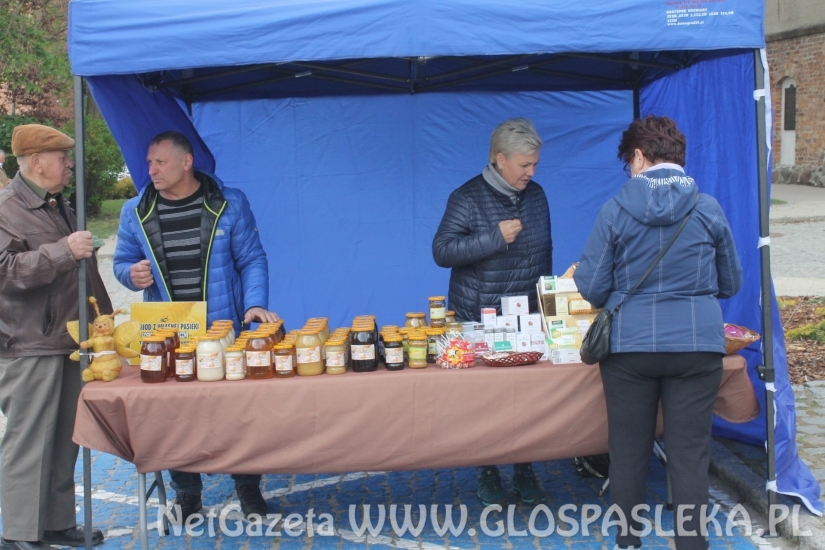 Armaty atrakcją Starego Miasta