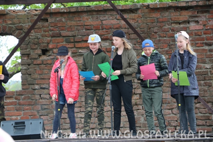 Armaty atrakcją Starego Miasta