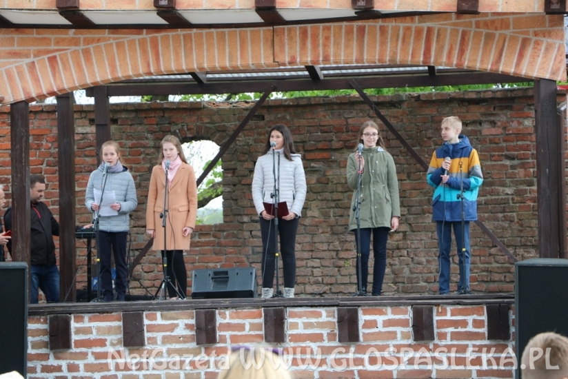 Armaty atrakcją Starego Miasta