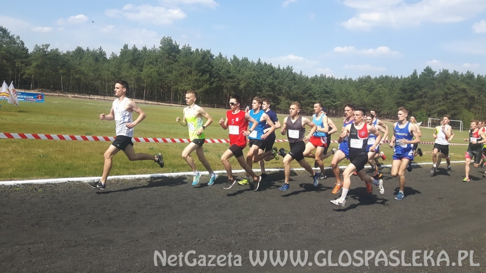 ZSEiT na VII miejscu w Polsce