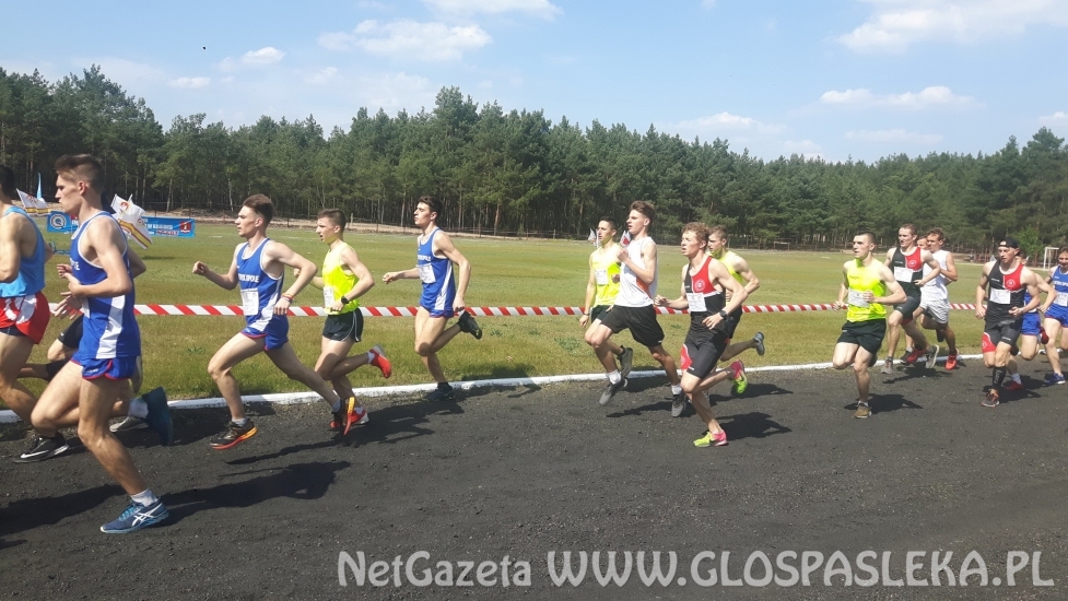 ZSEiT na VII miejscu w Polsce