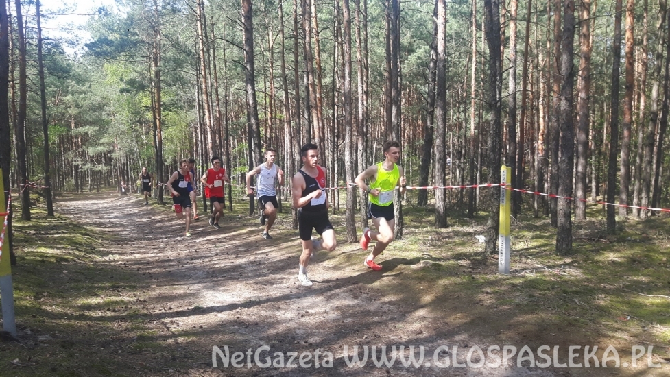 ZSEiT na VII miejscu w Polsce