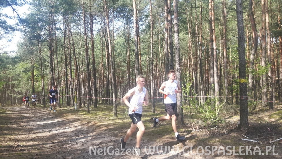 ZSEiT na VII miejscu w Polsce