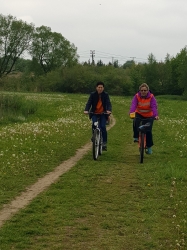 Odjazdowy Bibliotekarz