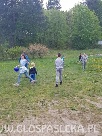 Odjazdowy Bibliotekarz