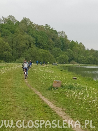 Odjazdowy Bibliotekarz