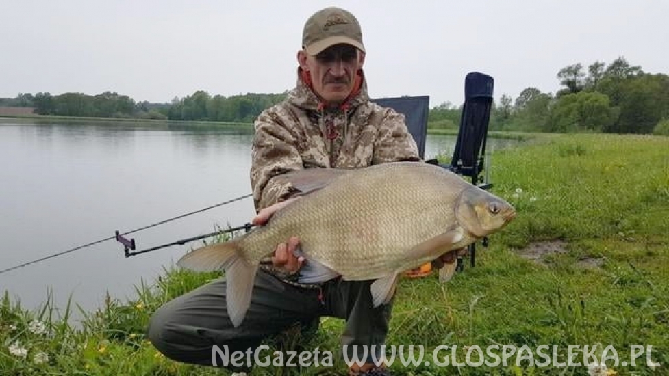 Rekordowe leszcze z Zakrzewka II