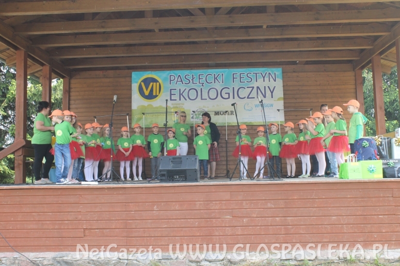 Udany Festyn Ekologiczny