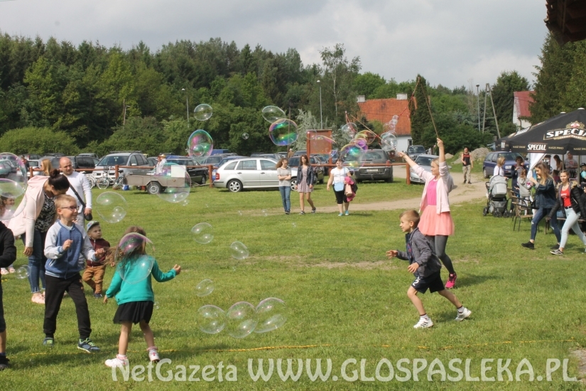 Udany Festyn Ekologiczny