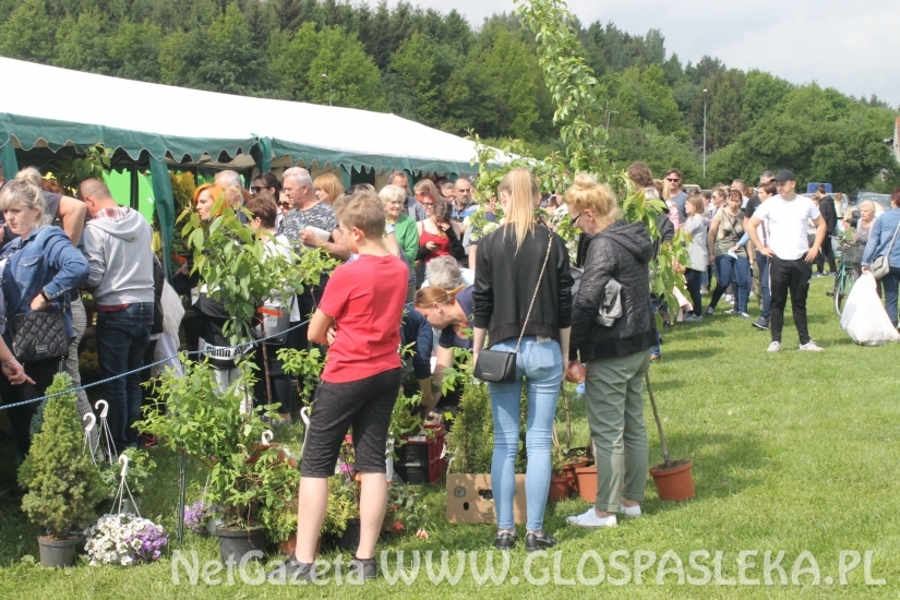 Udany Festyn Ekologiczny