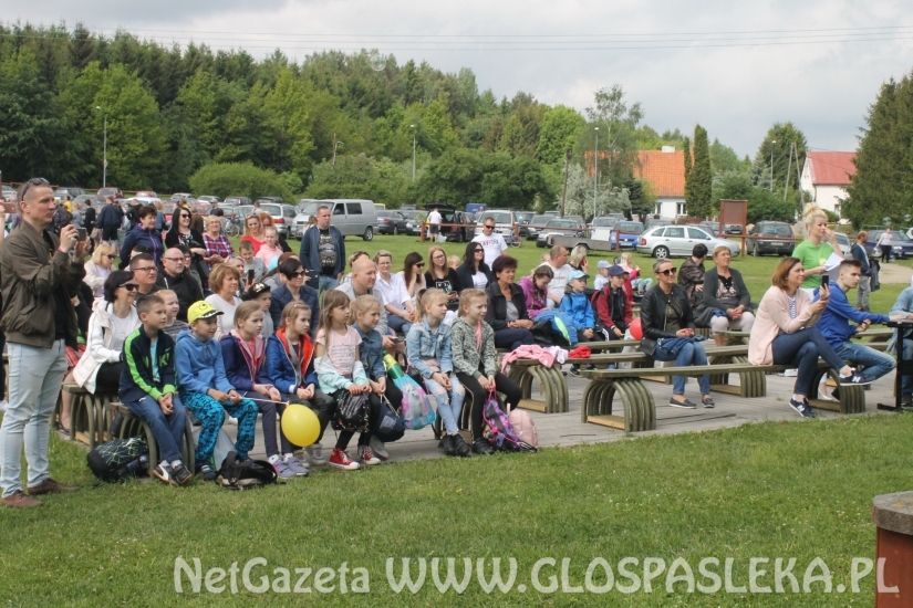 Udany Festyn Ekologiczny
