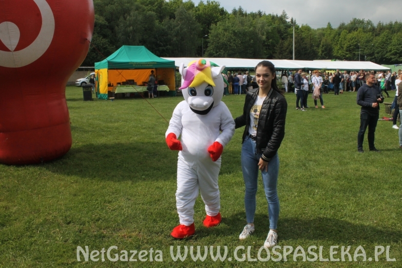 Udany Festyn Ekologiczny