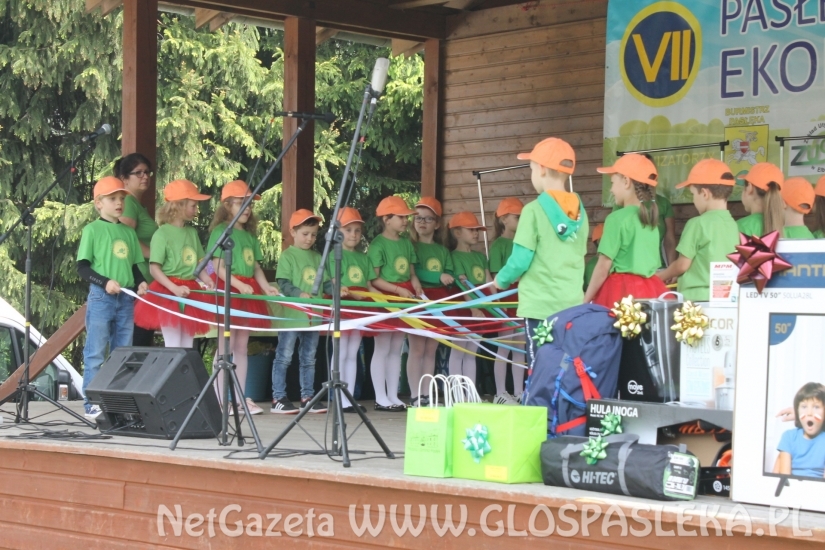 Udany Festyn Ekologiczny