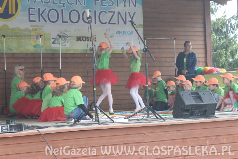 Udany Festyn Ekologiczny