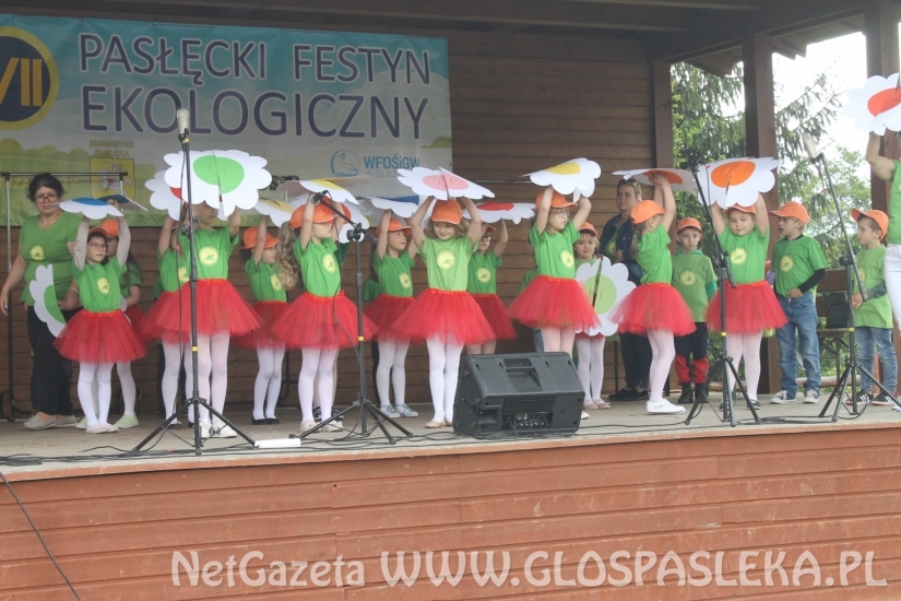 Udany Festyn Ekologiczny