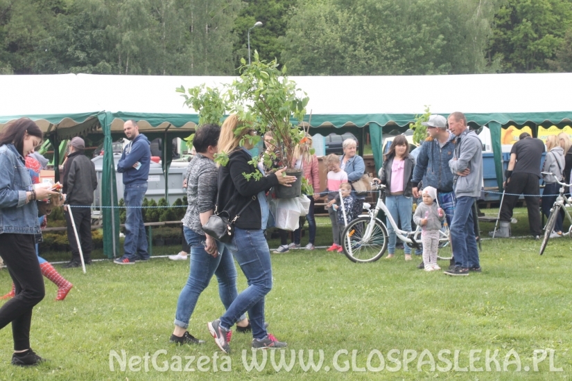 Udany Festyn Ekologiczny