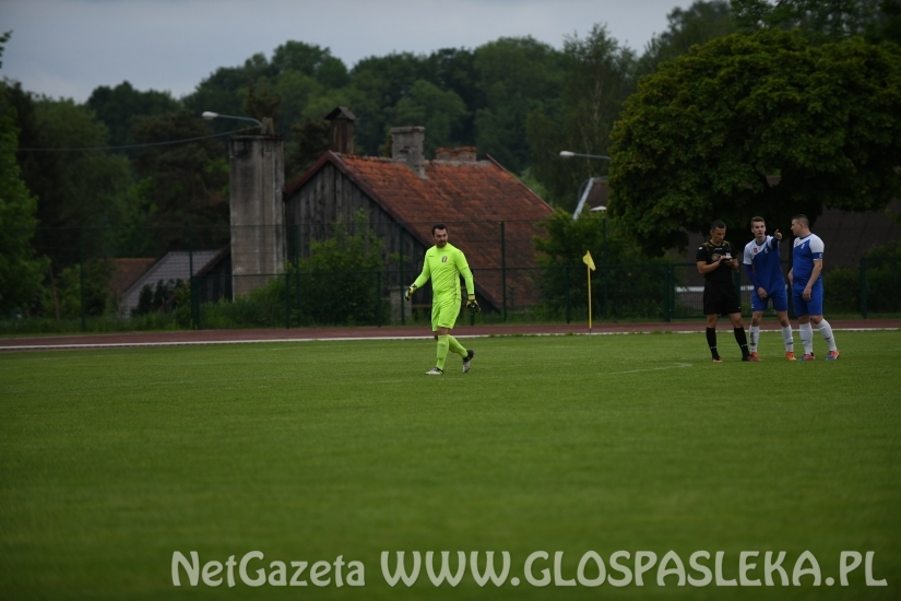 Polonia przegrała z Kormoranem