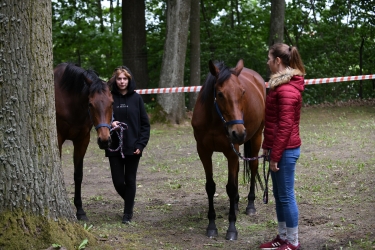 Amazonki Nenii z sukcesami w Olsztynie