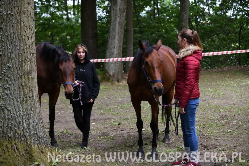 Amazonki Nenii z sukcesami w Olsztynie