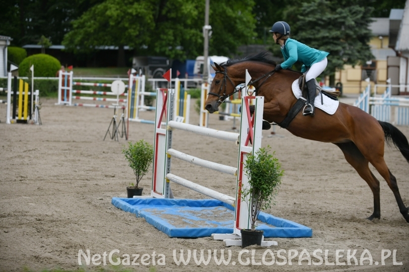 Amazonki Nenii z sukcesami w Olsztynie