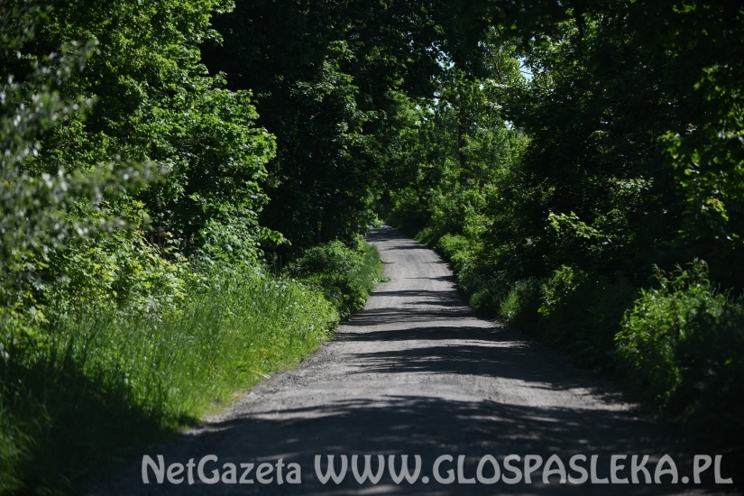 Rusza budowa drogi do Piniewa