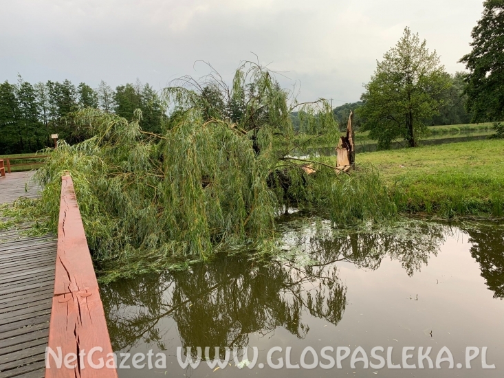 Efekty potężnej burzy