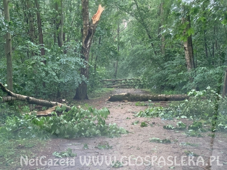 Efekty potężnej burzy